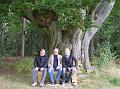 Baumtrio