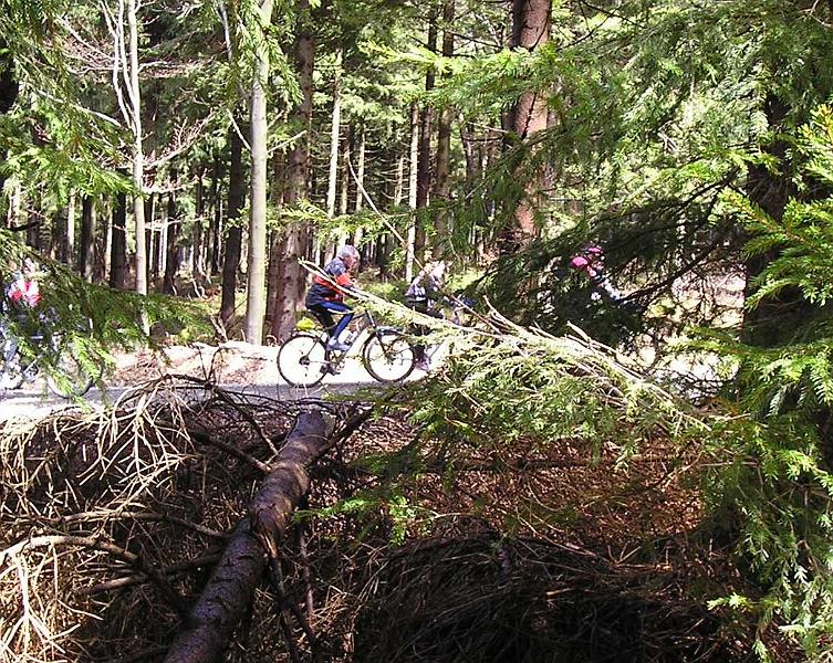 Dschungelbiker.JPG - Traumhafte Routen in Richtung Böhmerwald.