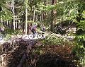Dschungelbiker