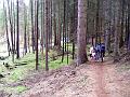 Goldschleiferweg_Abfahrt