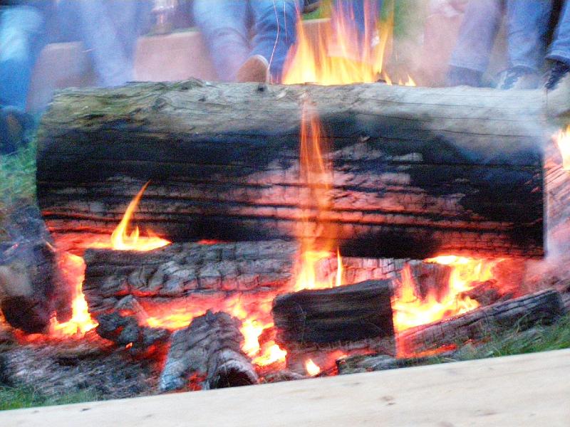 Frei_6_ha.JPG - Mächtigte Stämme brannten in der lodernden Glut.