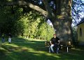 Bierwandern_2010_07