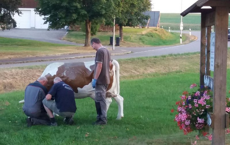 Trasafelder Oktoberfest - Rund ums Fest/Aufbau_WhatsApp_04