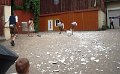 Hochzeit_Joh_Polter_01