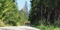 A_Wandern_06