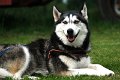A_Zelt_2022_17
